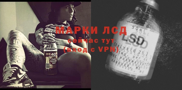 кокс Алексин